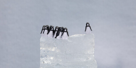 toys penguins on an ice floe © serikbaib