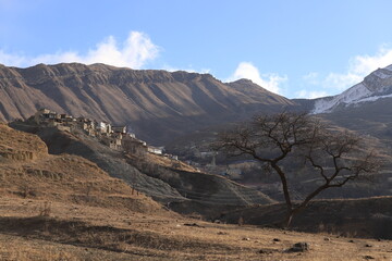 Fototapeta na wymiar Dagestan village Chokh against the backdrop of mountains a tree in the foreground on a sunny winter morning.