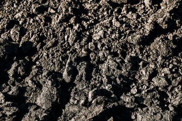 earth soil humus background