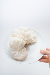 lion's mane mushroom