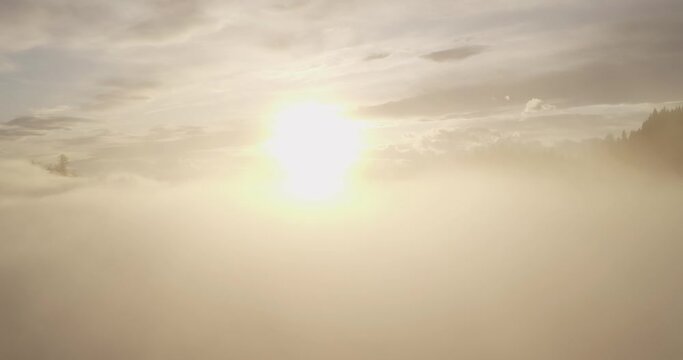 Aerial shot rising through the clouds to a golden sunrise over a Swiss forest