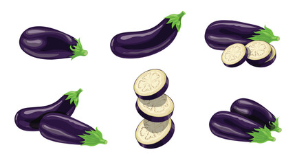 Eggplants set. Whole and sliced fresh aubergines. Best for packages, menu and market designs. Vector illustrations.