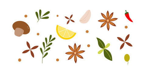 Set of kitchen spices illustration for design element