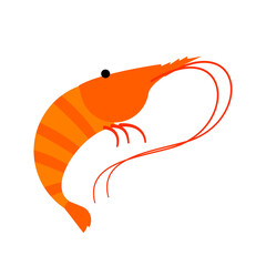 shrimp illustrated on isolation background.