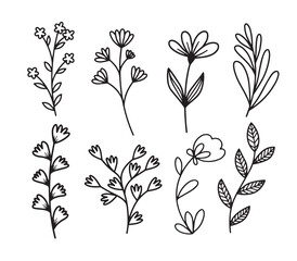 Vector set of different flowers bouquets from leaves, branches Vector sketch illustration perfect for decorating wedding invitations greeting cards design fabric textures