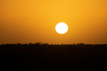 sunset over the field