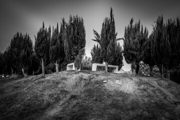 Bancos en jardin con arboles