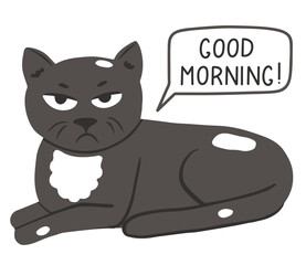 Vector grumpy cat in simple cartoon style