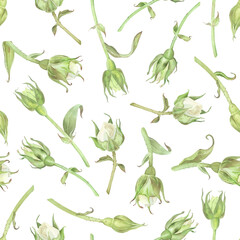 Seamless pattern of white roses buds. Watercolor botanical illustration. Isolated on a white background. Hand painting floral print in vintage style. For design of wrapping paper, wallpaper, fabrics
