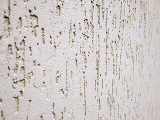 Grunge texture wall. Plaster bark beetle