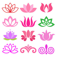 Illustration set of varied lotus flowers on a white background