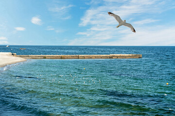 Sea view with seagull, Odessa, Ukraine