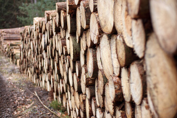 stack of logs