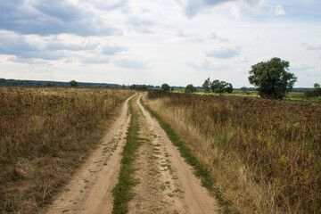 A beautiful landscape - a rural country road in the middle of a field with old withered grass to the horizon line with a cloudy sky in August and a space to copy