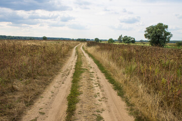 Fototapeta na wymiar A beautiful landscape - a rural country road in the middle of a field with old withered grass to the horizon line with a cloudy sky in August and a space to copy