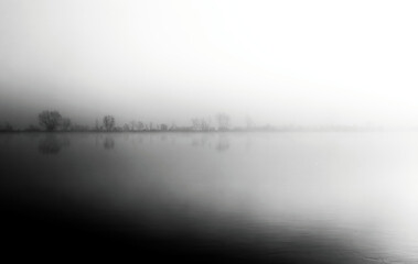 Jezioro i las we mgle. Rośliny © artur