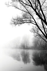 Stare jezioro i las, stare drzewa © artur
