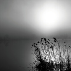 Jezioro we mgle z tłem lasu. Monochrom. Mocna ekspozycja przez światło słoneczne