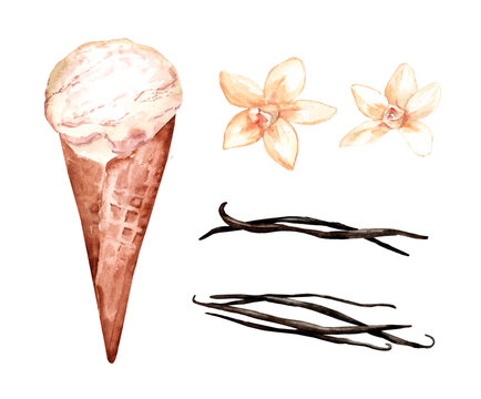 Ice cream in a waffle cone and vanilla pods. Set of watercolor hand drawn illustration of summer dessert