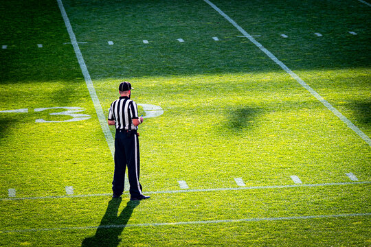 American football referee stands on the football field