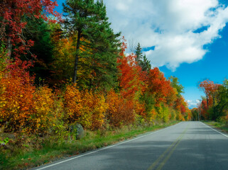 Obraz premium road in autumn