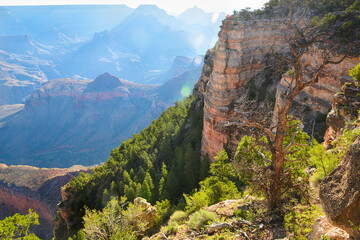 Fototapeta na wymiar Grand Canyon - Arizona, United States