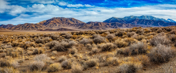Death Valley mountain range with open field