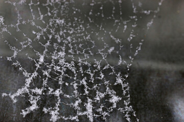 Snow on a spiders web