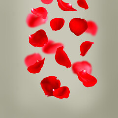 Beautiful red rose petals falling on light grey background