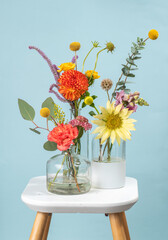 dhalias mexicanas en colores vibrantes