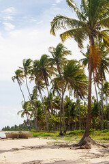 Beautiful Brazilian northeast beach, Alagoas, Brazil  .