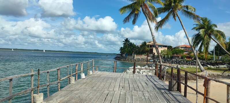 Cacha pregos Ilha de Itaparica 