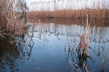 Ros Winter River, Kyiv region