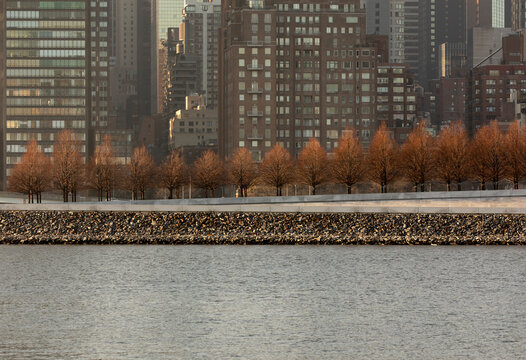 Treelined Waterfront Park In Roosevelt Island