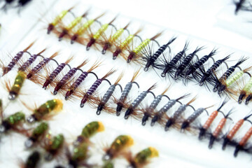 A Selection of Traditional Salmon Fishing Flies.