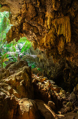 Landscape of cave and tree Hup Pa Tat, Uthai Thani, Thailand
