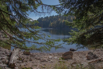 Le lac d"Altenweiher dans les Vosges en Automne - Vallée de Mittlach près de Munster