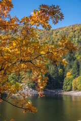 Le lac d"Altenweiher dans les Vosges en Automne - Vallée de Mittlach près de Munster