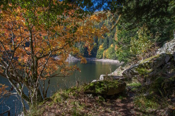 Le lac d"Altenweiher dans les Vosges en Automne - Vallée de Mittlach près de Munster