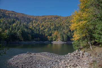 Le lac d"Altenweiher dans les Vosges en Automne - Vallée de Mittlach près de Munster