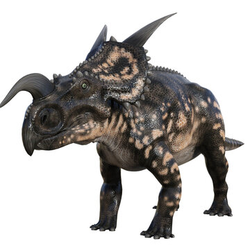 Einiosaurus dinosaur isolated 3d render
