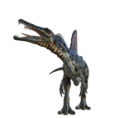 Spinosaurus dinosaur isolated 3d render