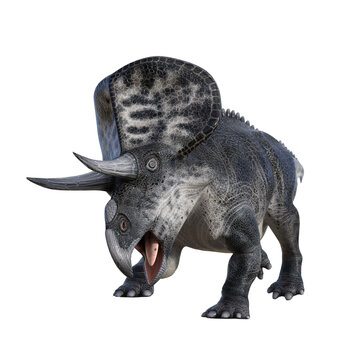Zuniceratops dinosaur isolated 3d render