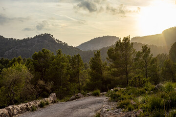 landscape in the mountains