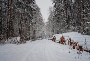 Droga leśna zimą