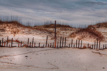 Sand Fence by the Dunes