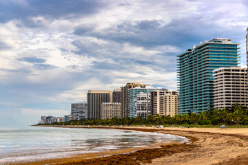 Fototapeta premium Seaweed pollution along Miami Beach