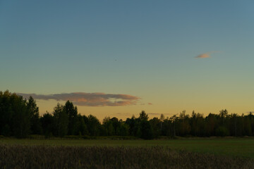 beautiful rural landscape at sunset with a view of a field and green trees