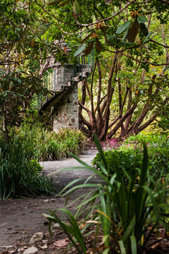 Clyne Park Tower - Swansea