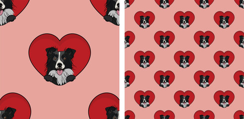 Border collie dog with paws pattern, Valentine's day heart wallpaper. Love red heart with pet head holiday texture. Dog face Holding Heart Cartoon square background. St Valentine's day present paper.